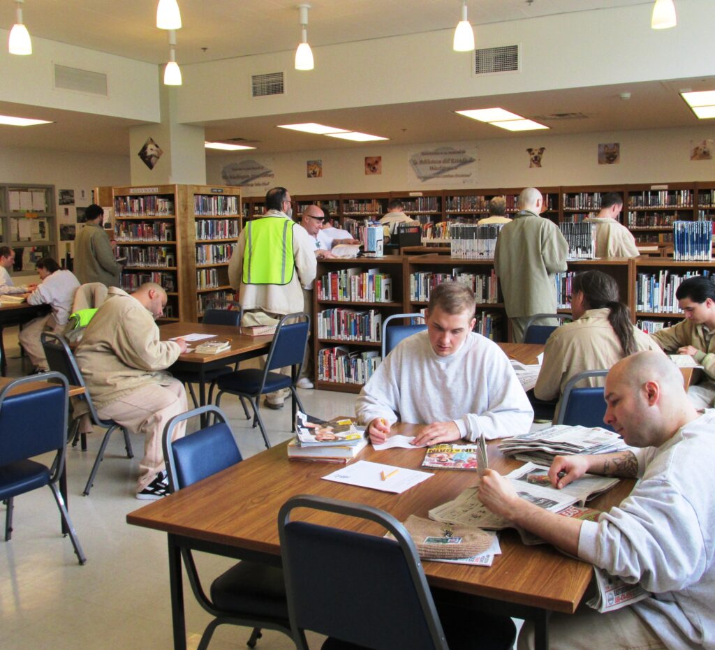 Patrons utilizing Institutional Library Services
